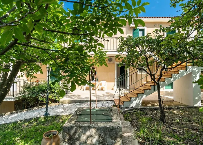 Anemona D