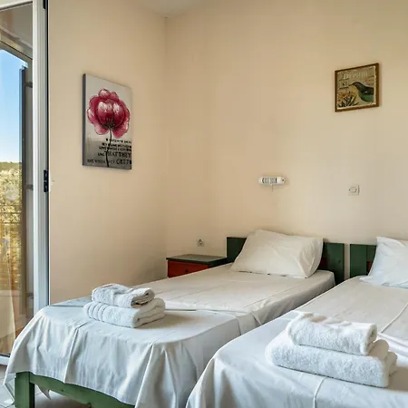 Anemona D *